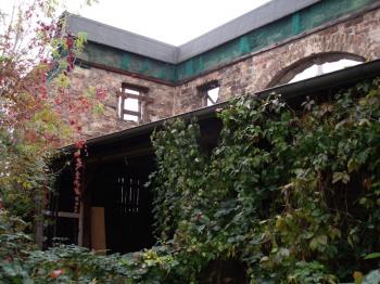 Herzog Gardens "cry" to be restored. Herzog Gardens "cry" to be restored.